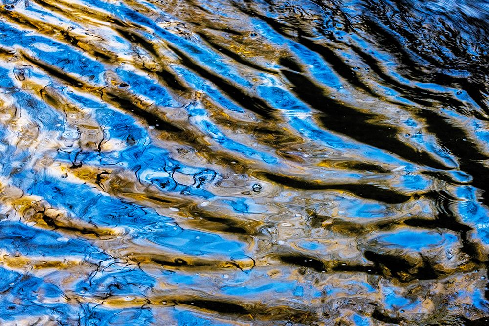 Reflections in LaSalle Canyon Creek In Starved Rock State Park-Illinois-USA art print by Chuck Haney for $57.95 CAD