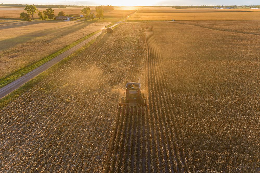 Aerial view of combine harvesting corn field at sunset-Marion County-Illinois art print by Richard and Susan Day for $57.95 CAD