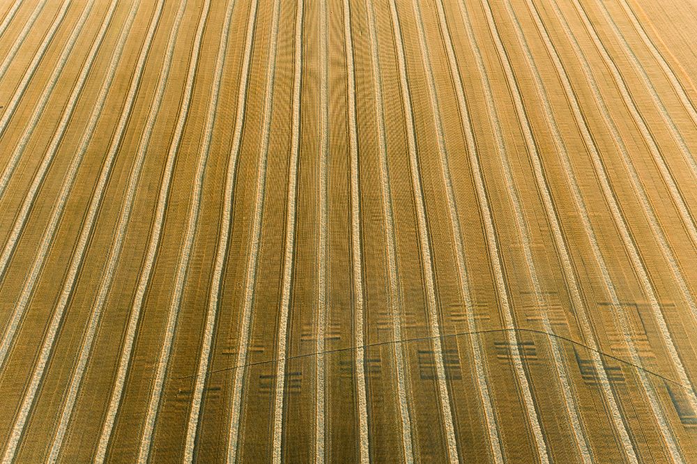 Aerial view of rows of wheat straw before baling-Marion County-Illinois art print by Richard and Susan Day for $57.95 CAD