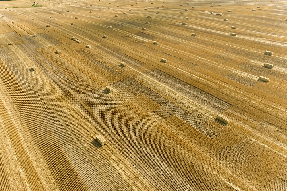 Aerial view of large square bales of wheat straw in field-Clay County-Illinois art print by Richard and Susan Day for $57.95 CAD