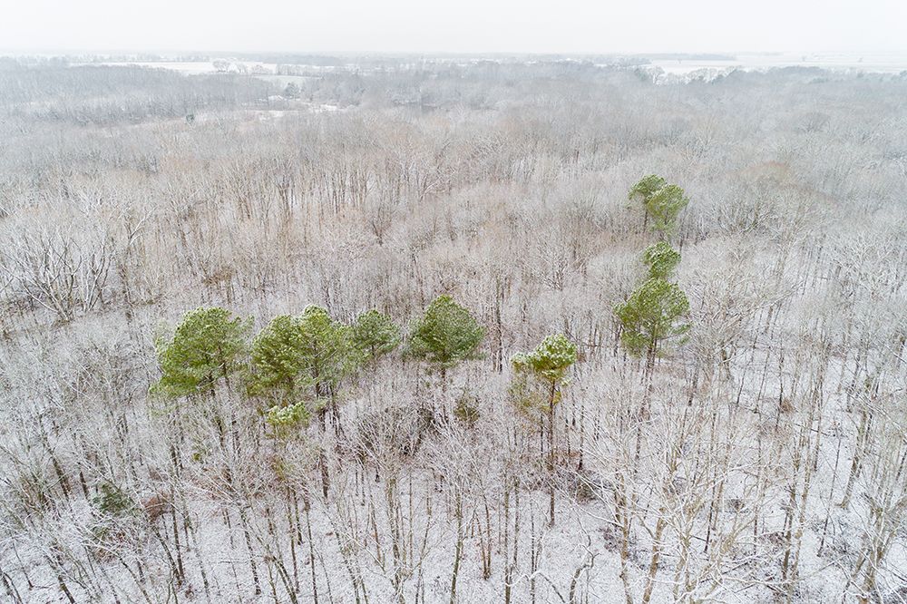 Aerial view of a fresh snow over the forest-Marion County-Illinois art print by Richard and Susan Day for $57.95 CAD