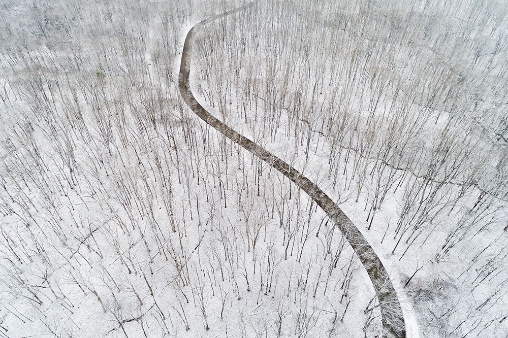 Aerial view of a fresh snow over the forest and road-Marion County-Illinois art print by Richard and Susan Day for $57.95 CAD