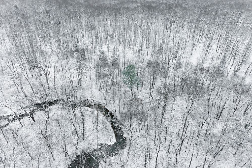 Aerial view of woods after a snowfall-Marion County-Illinois art print by Richard and Susan Day for $57.95 CAD