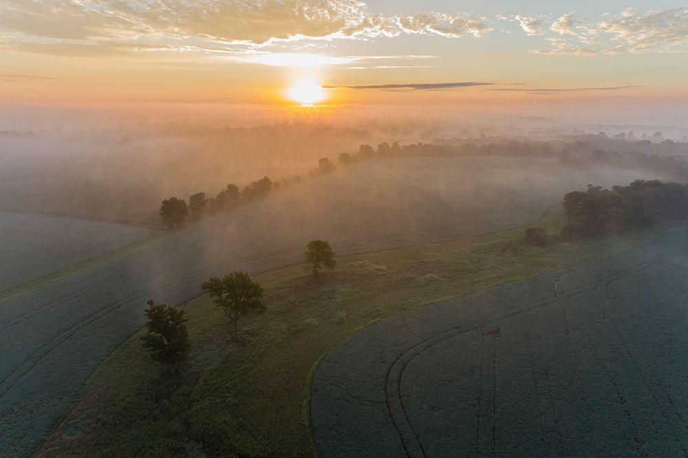 Sunrise and fog-Marion County-Illinois art print by Richard and Susan Day for $57.95 CAD