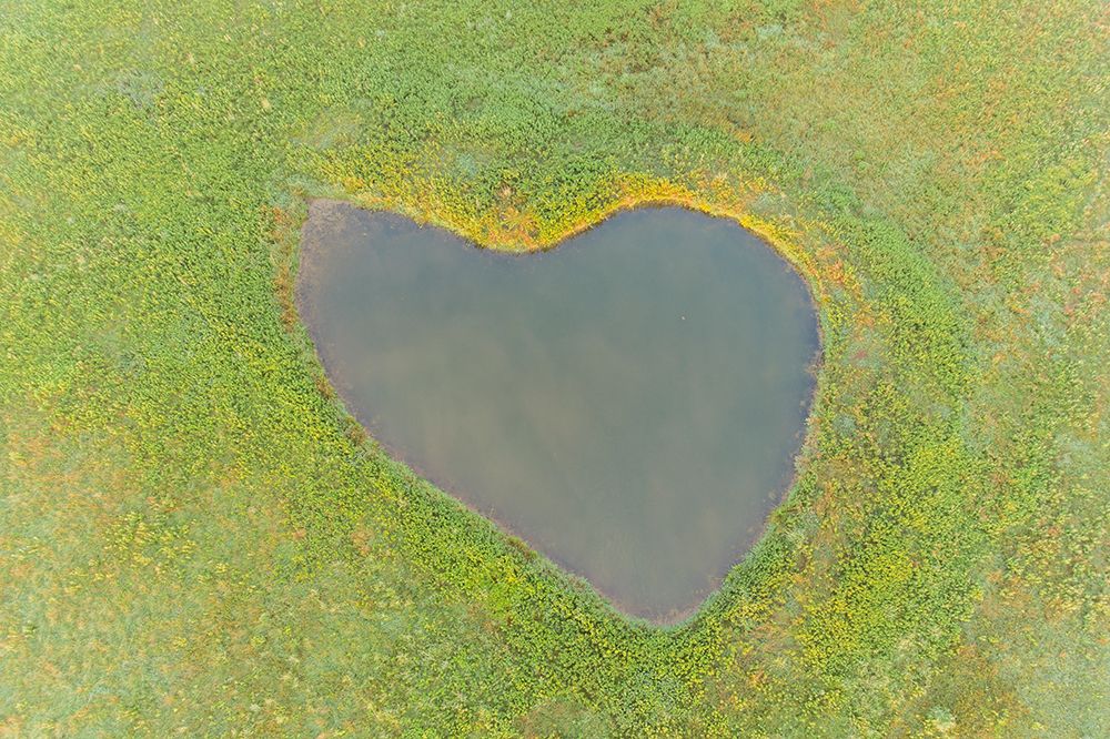 Heart shaped pond-Marion County-Illinois art print by Richard and Susan Day for $57.95 CAD