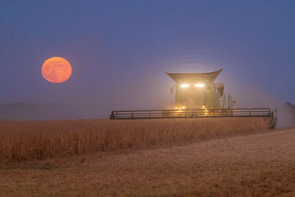 Combine harvesting soybeans as full moon rises (harvest moon)-Marion County-Illinois art print by Richard and Susan Day for $57.95 CAD