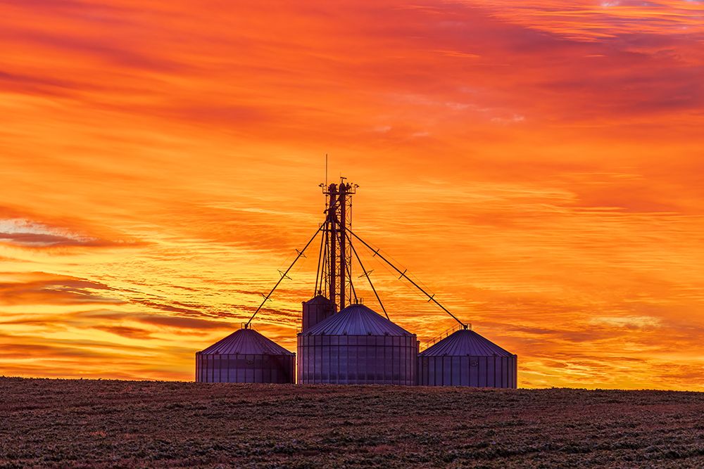Grain bins silhouetted at sunrise Clay County-Illinois art print by Richard and Susan Day for $57.95 CAD