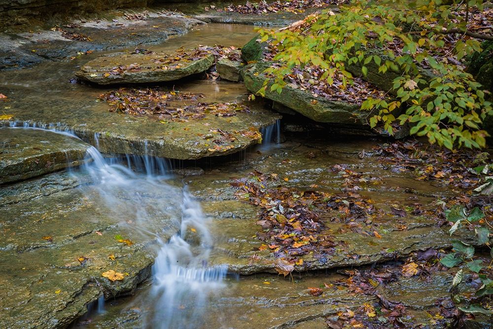 Rocky Ledges with Waterfall in Clifty Creek Park-Indiana art print by Anna Miller for $57.95 CAD