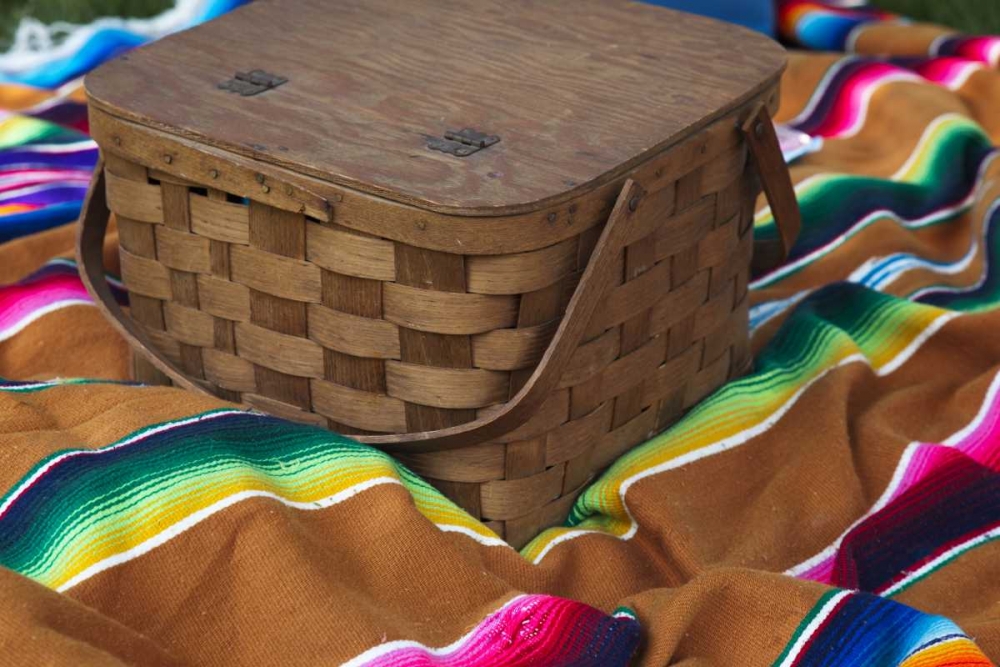Indiana, Indianapolis Picnic basket and blanket art print by Wendy Kaveney for $57.95 CAD