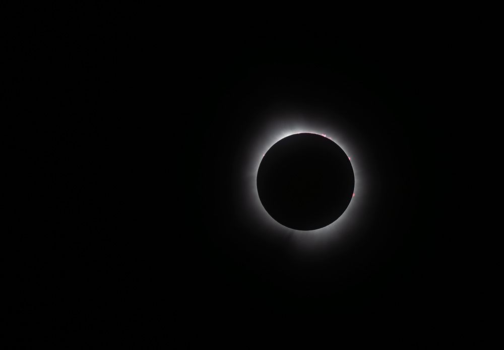 USA, Indiana, Carmel. Total solar eclipse with corona. art print by Jaynes Gallery for $57.95 CAD