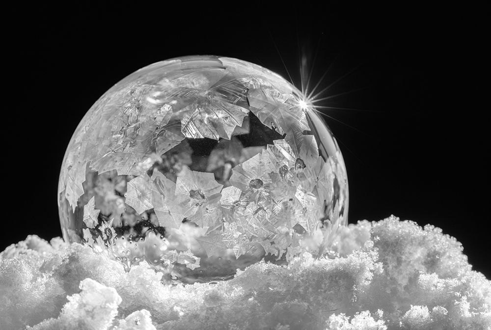 USA, Indiana, Carmel. Frozen soap bubble with feather-like crystals on bed of ice. art print by Jaynes Gallery for $57.95 CAD