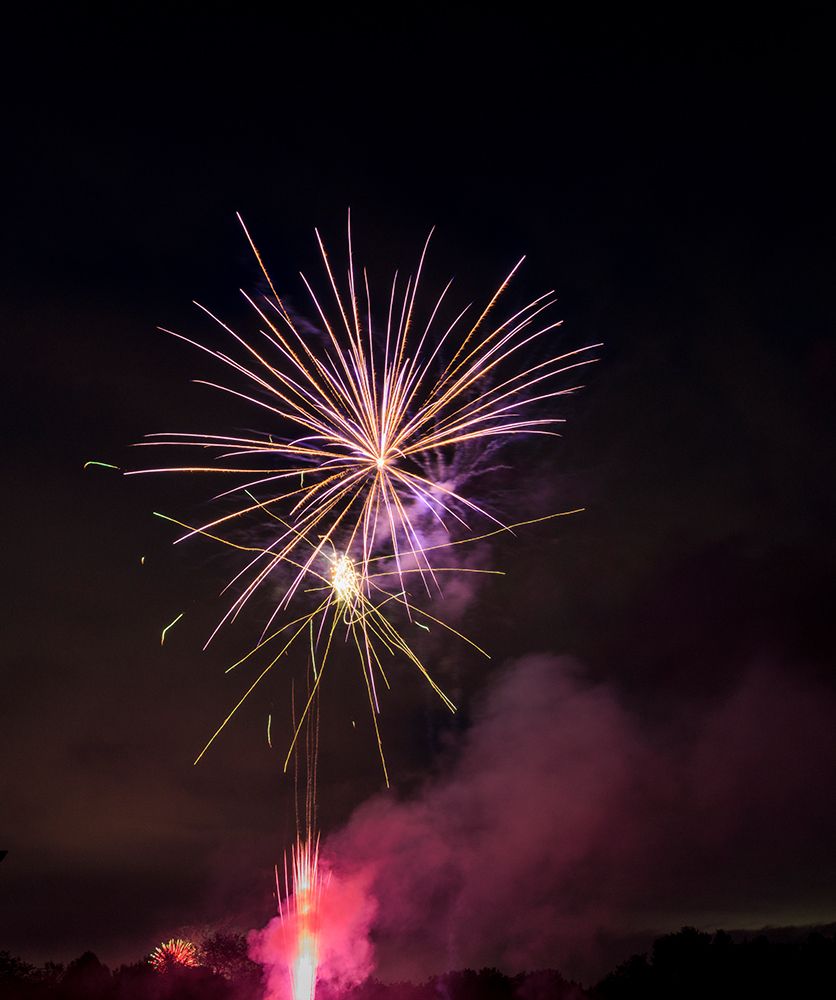 USA, Indiana, Carmel. July 4th fireworks. art print by Jaynes Gallery for $57.95 CAD
