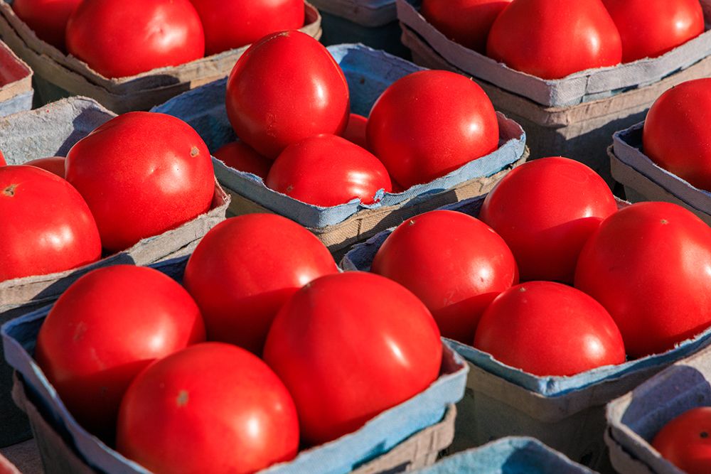 USA, Indiana, Fishers. Baskets with fresh tomatoes. art print by Jaynes Gallery for $57.95 CAD