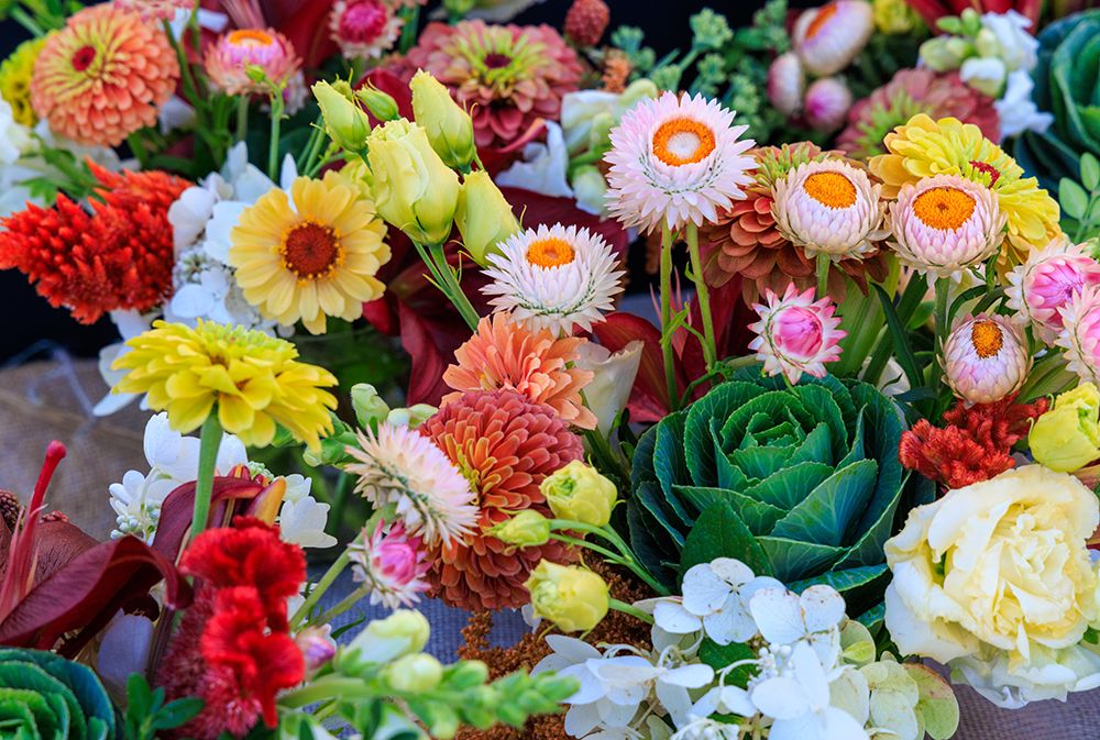 USA, Indiana, Fishers. Fresh flowers on display at market. art print by Jaynes Gallery for $57.95 CAD