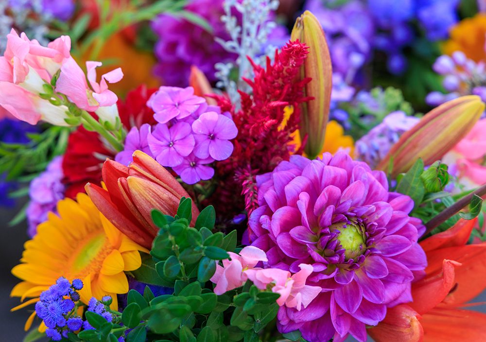 USA, Indiana, Fishers. Fresh flowers on display at market. art print by Jaynes Gallery for $57.95 CAD