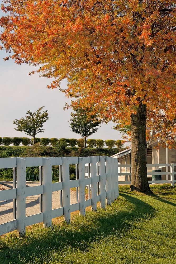 White fences-Keeneland race track-Lexington-Kentucky art print by Adam Jones for $57.95 CAD