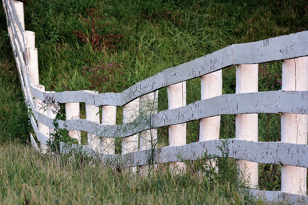 White wooden fence across rolling hill-Shaker Village of Pleasant Hill-Harrodsburg-Kentucky art print by Adam Jones for $57.95 CAD