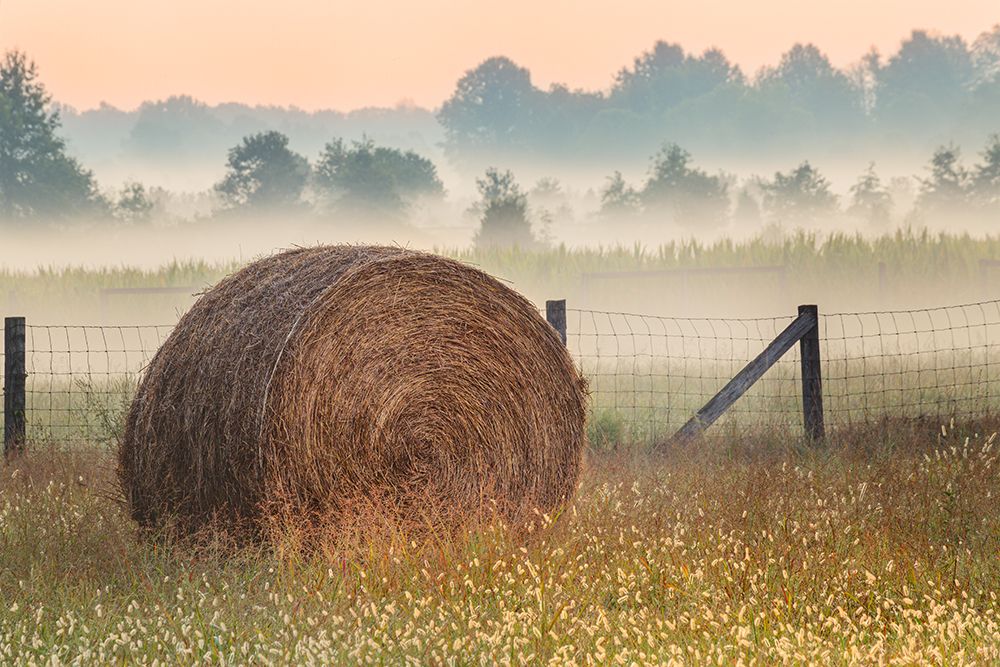 Hay bale in rural farm field, Oldham County, Kentucky art print by Adam Jones for $57.95 CAD