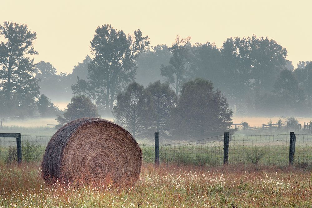 Hay bale in rural farm field, Oldham County, Kentucky art print by Adam Jones for $57.95 CAD