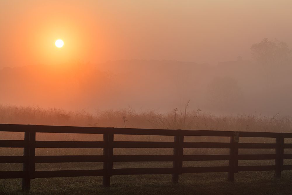 Black fence on horse farm at sunrise on foggy morning, Oldham County, Kentucky art print by Adam Jones for $57.95 CAD