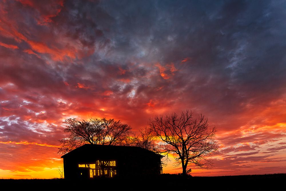 Old abandoned Kentucky tobacco barn at sunrise, near Lexington, Kentucky art print by Adam Jones for $57.95 CAD