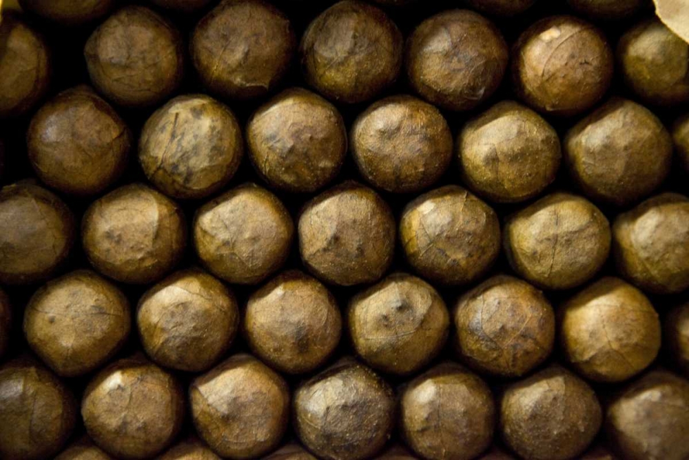Louisiana, New Orleans Abstract of cigars art print by Wendy Kaveney for $57.95 CAD