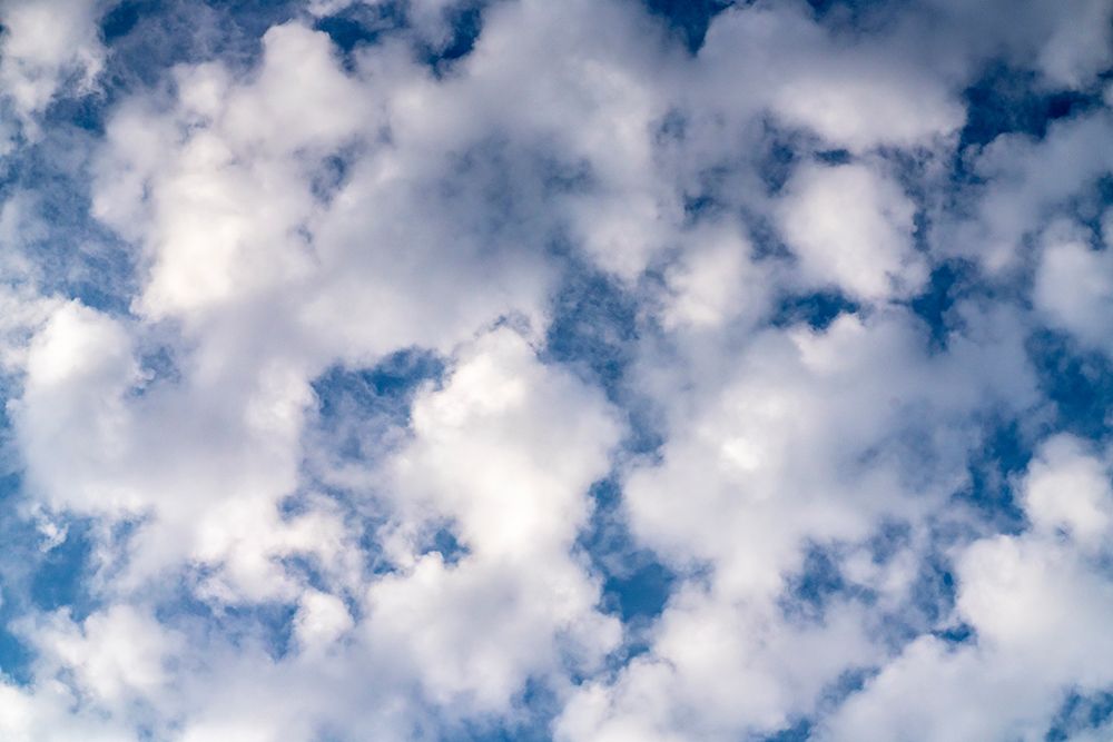 USA-Louisiana-Atchafalaya Basin-Atchafalaya Swamp Cloud patterns art print by Jaynes Gallery for $57.95 CAD