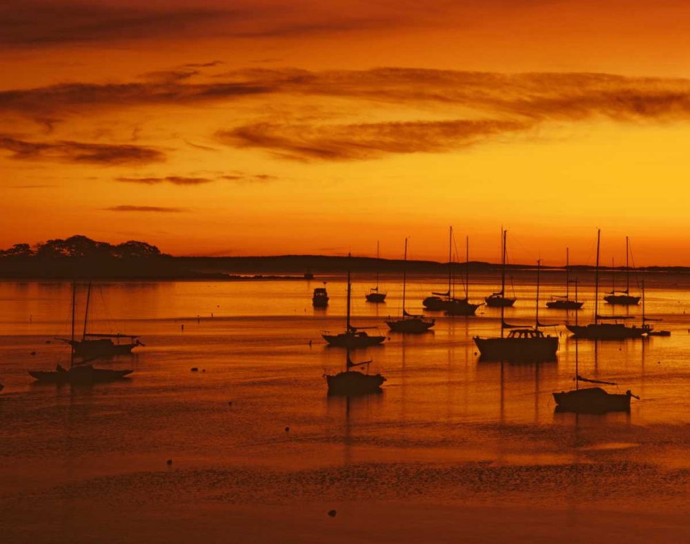ME, Camden Sailboats silhouetted at sunrise art print by Steve Terrill for $57.95 CAD