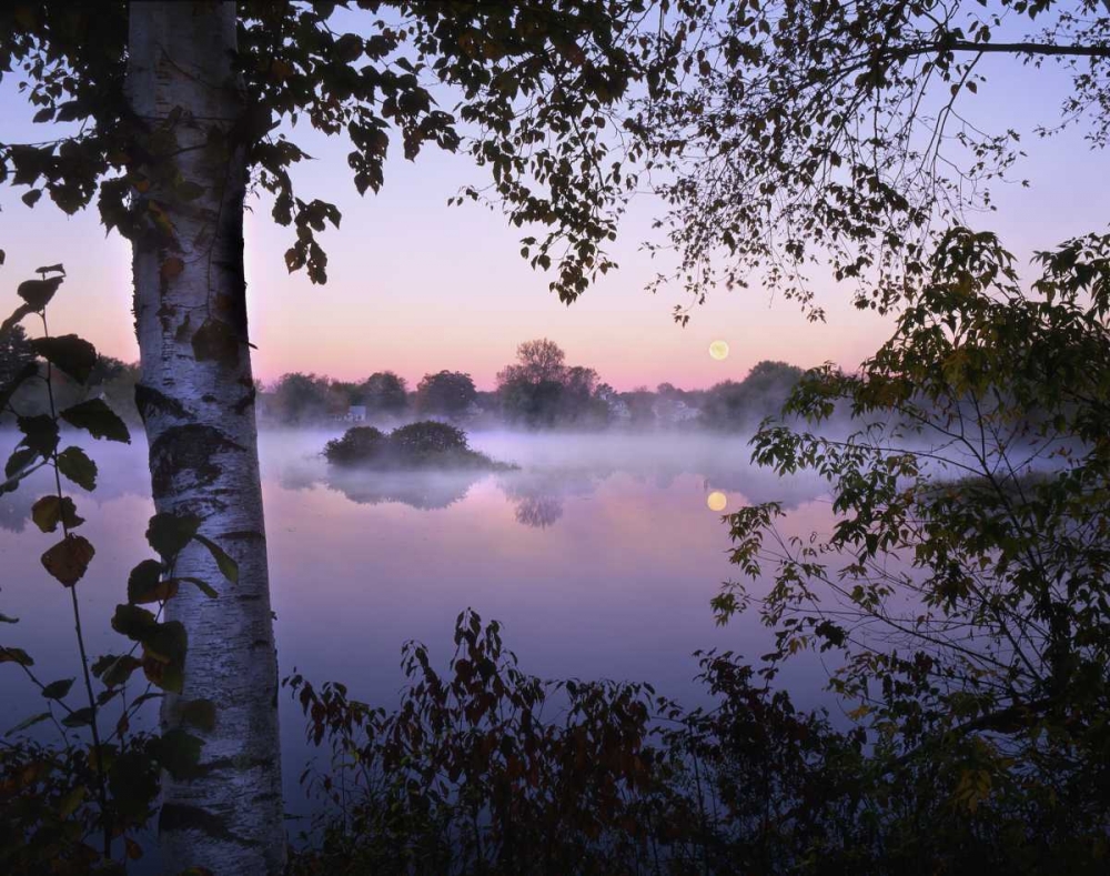 ME, Pittsfield Moonset with fog over Mill Pond art print by Steve Terrill for $57.95 CAD