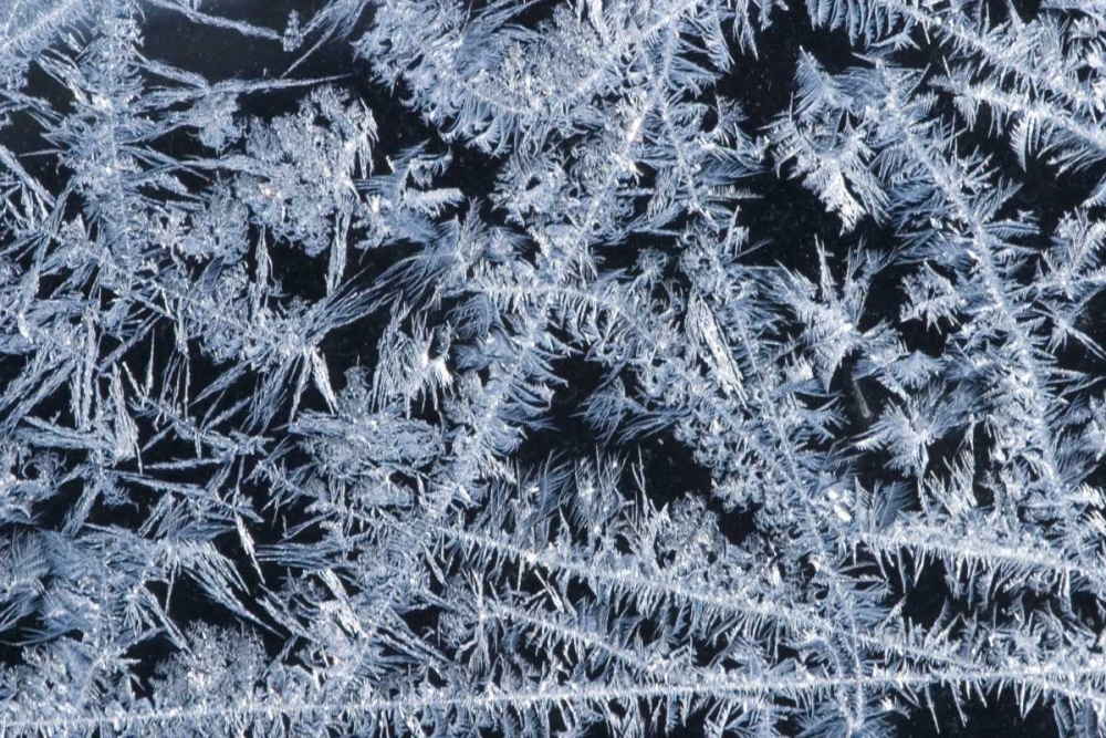 ME, HarpswellIce patterns on a winter window art print by Kathleen Clemons for $57.95 CAD