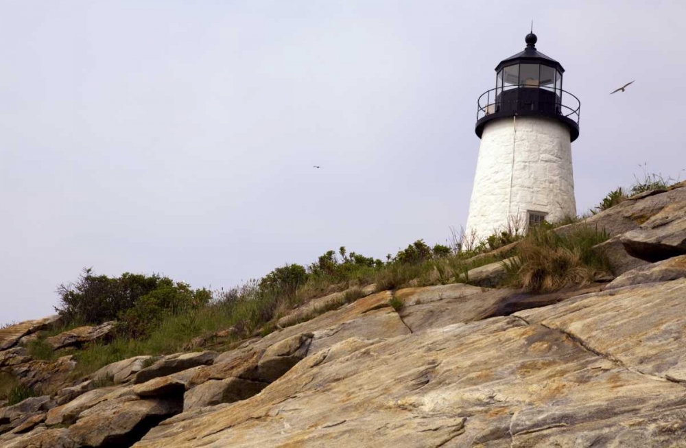 ME, Pemaquid Lighthouse overlooks coastline art print by Kathleen Clemons for $57.95 CAD