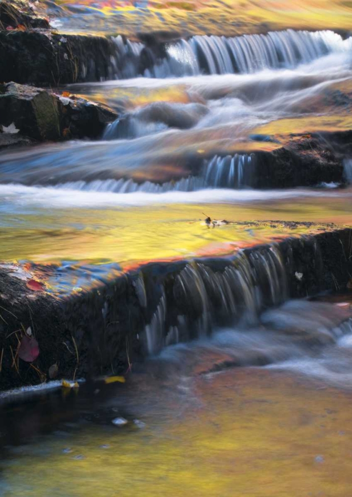 Maine, Acadia NP Autumn reflections in stream art print by Nancy Rotenberg for $57.95 CAD