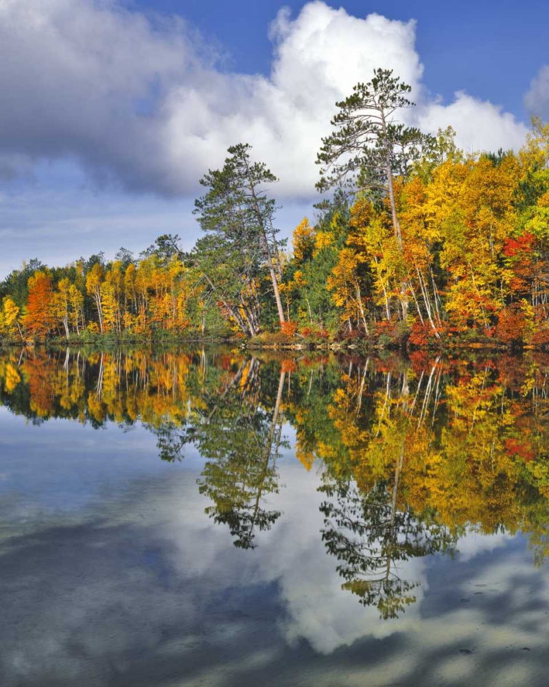 USA, Maine Autumn scenic of Upper Togue Pond art print by Steve Terrill for $57.95 CAD