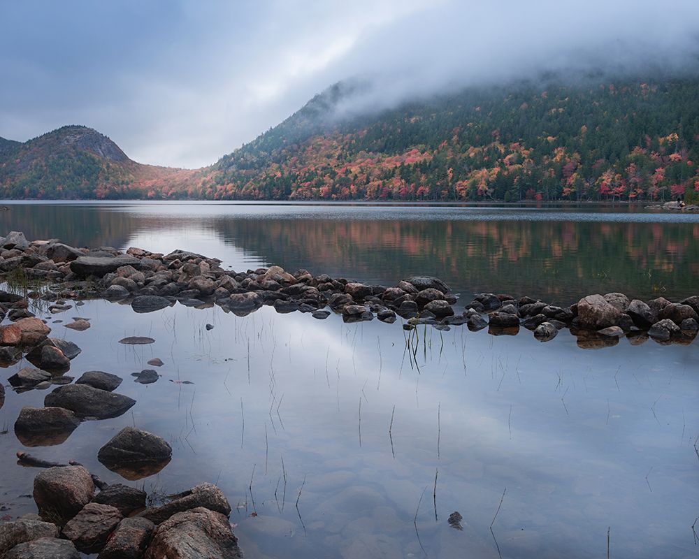 USA-Maine-Acadia National Park Mountain and forest reflections in lake art print by Jaynes Gallery for $57.95 CAD