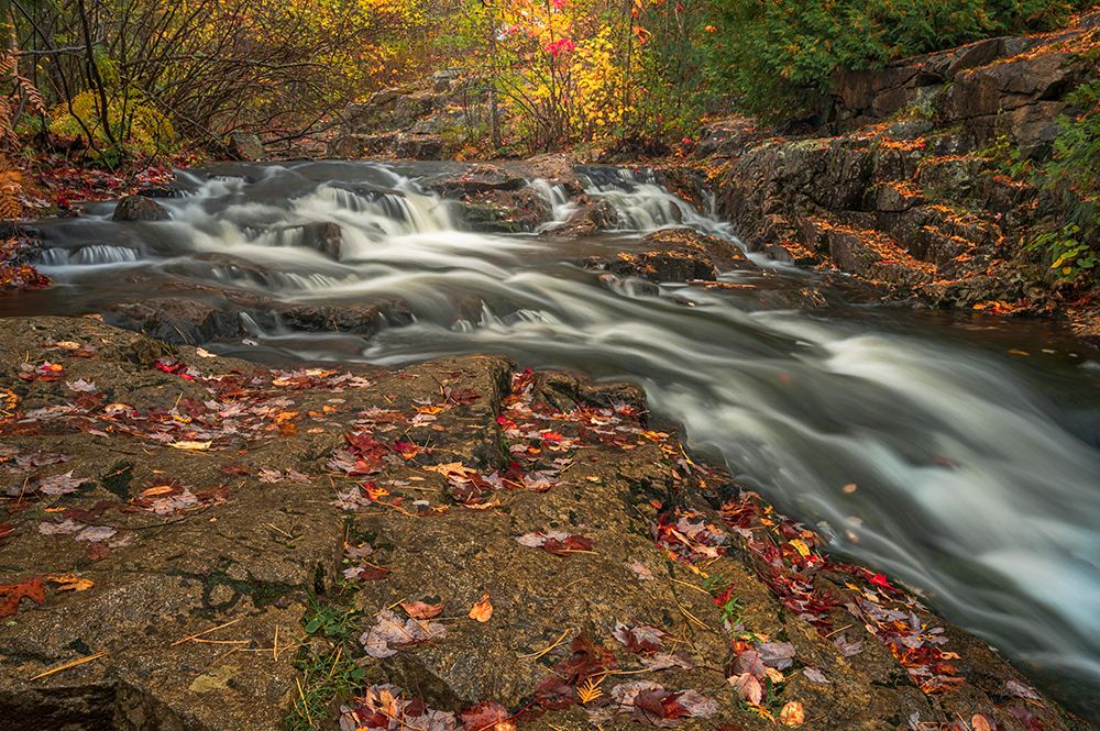 USA-Maine-Acadia National Park Stream rapids in forest art print by Jaynes Gallery for $57.95 CAD