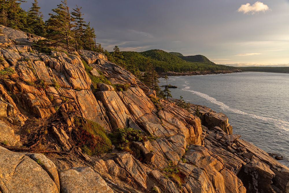 Otter Cliffs at sunrise in Acadia National Park-Maine-USA art print by Chuck Haney for $57.95 CAD