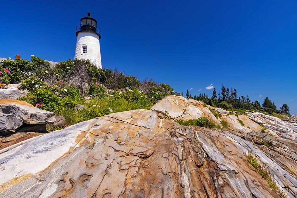 Pemaquid Point Lighthouse near Bristol-Maine-USA art print by Chuck Haney for $57.95 CAD