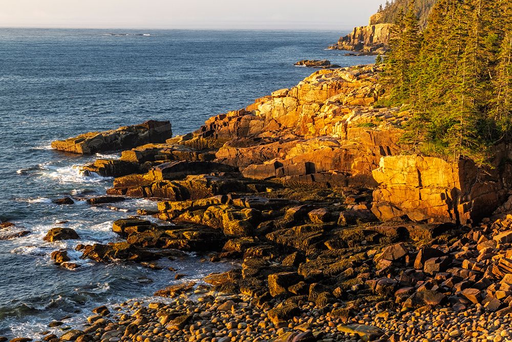 Otter Cliffs at sunrise in Acadia National Park-Maine-USA art print by Chuck Haney for $57.95 CAD