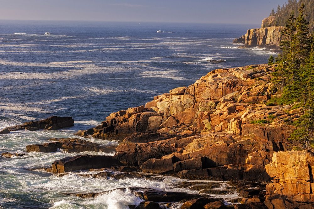 Otter Cliffs at sunrise in Acadia National Park-Maine-USA art print by Chuck Haney for $57.95 CAD
