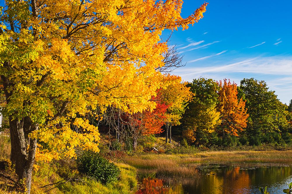 Acadia National Park-Duck Pond Road art print by George and Marilu Theodore for $57.95 CAD