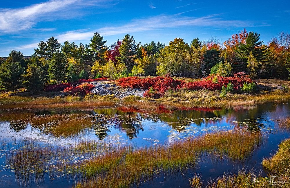 Fall colors along Duck Pond Road at Acadia National Park art print by George and Marilu Theodore for $57.95 CAD