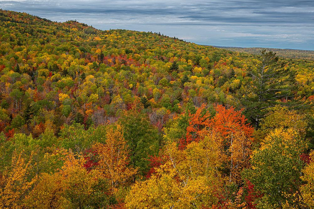 USA, Maine. Colorful fall foliage, Baxter State Park art print by Howie Garber for $57.95 CAD