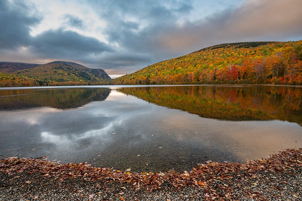 USA, Maine. Fall foliage and view of curved lake shore, Baxter State Park art print by Howie Garber for $57.95 CAD