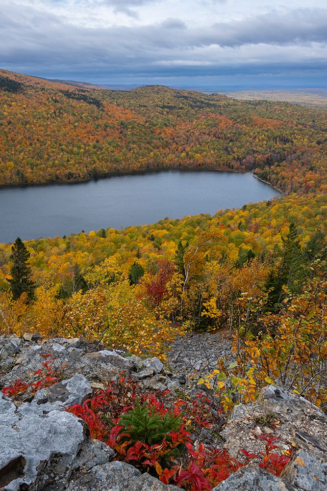 USA, Maine. Lowbush blueberry, fall foliage and South Branch Pond from Traveler Mountain, Baxter SP art print by Howie Garber for $57.95 CAD
