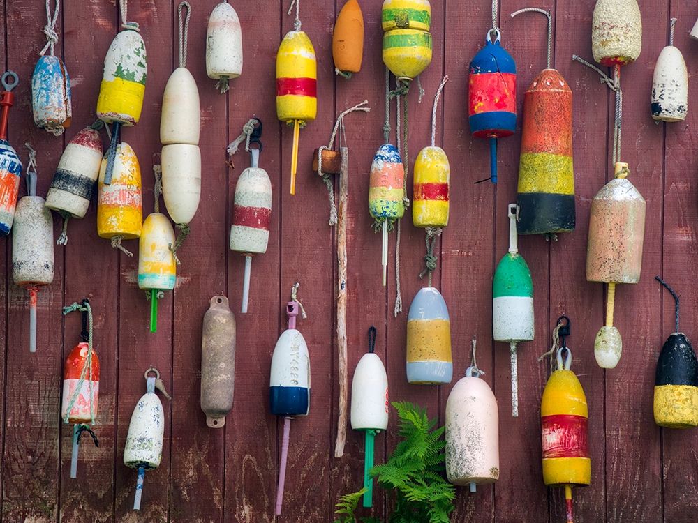 Maine Colorful buoys hanging on the exterior of a building art print by Julie Eggers for $57.95 CAD