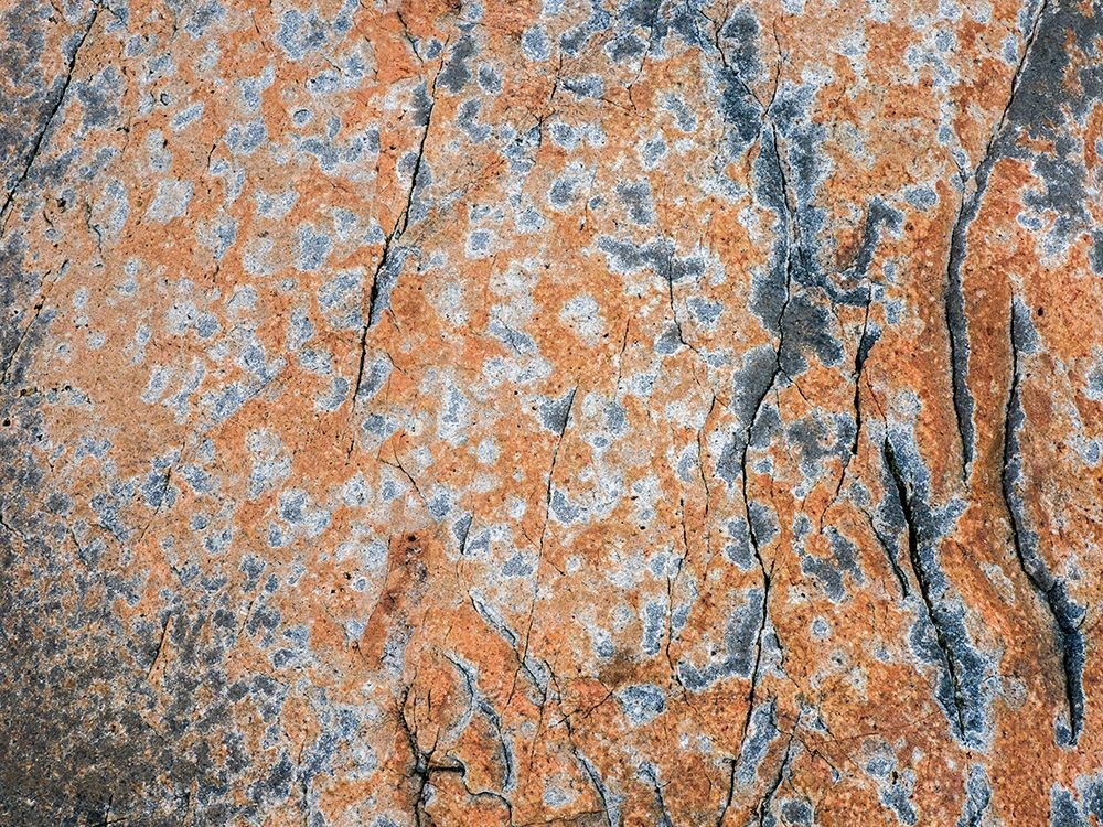 Maine Patterns on rock on the beach near Thunder Hole in Acadia National Park art print by Julie Eggers for $57.95 CAD