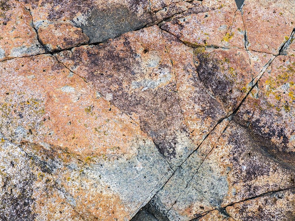 Maine Patterns on rock on the beach near Thunder Hole in Acadia National Park art print by Julie Eggers for $57.95 CAD