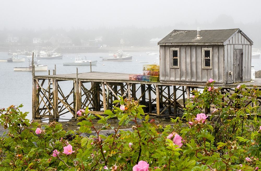 Maine Bernard fishing village-Mount Desert Island-Maine-USA art print by Julie Eggers for $57.95 CAD