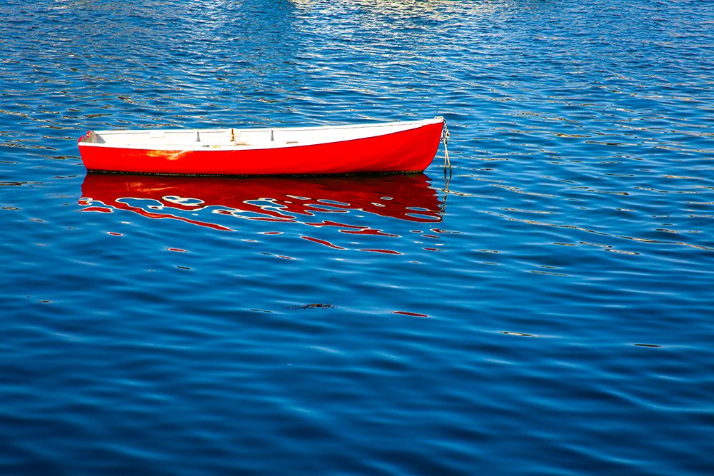 USA-New England-Maine-Camden-Camden Harbor and boat anchored in the harbor art print by Sylvia Gulin for $57.95 CAD