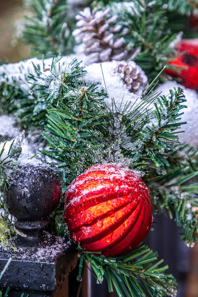 USA-Maryland-Bethesda-First snowfall on Holiday decoration art print by Hollice Looney for $57.95 CAD